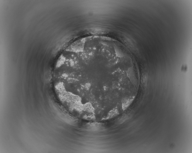 X0000112360367200909101303