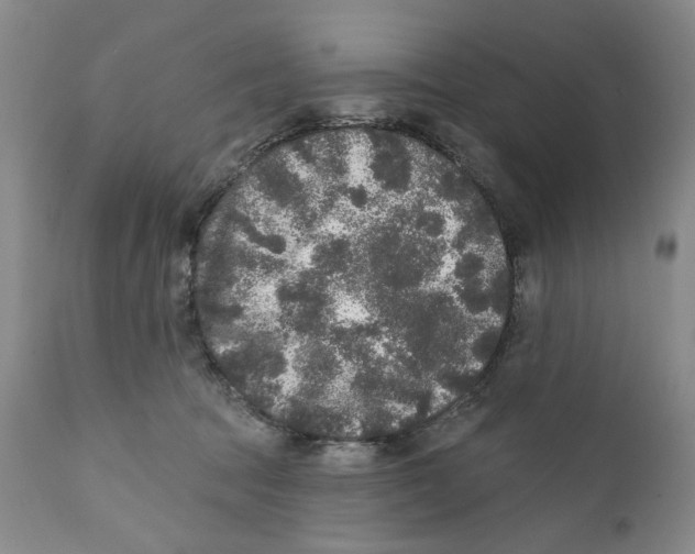 X0000112360369200909101303