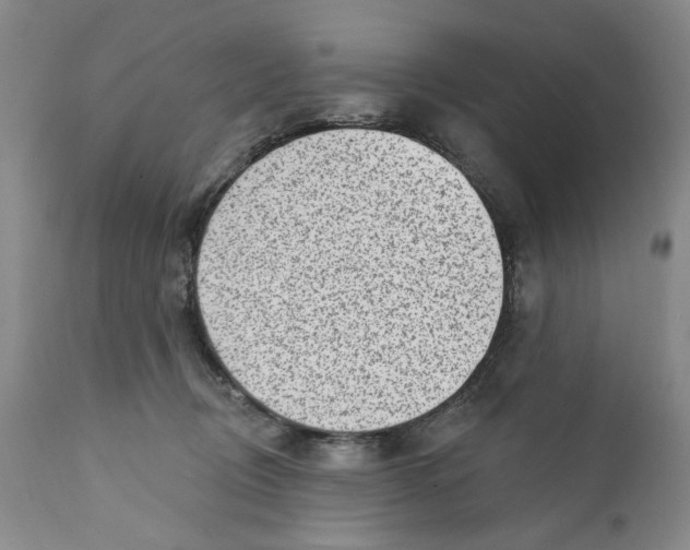 X0000112360370200909101303