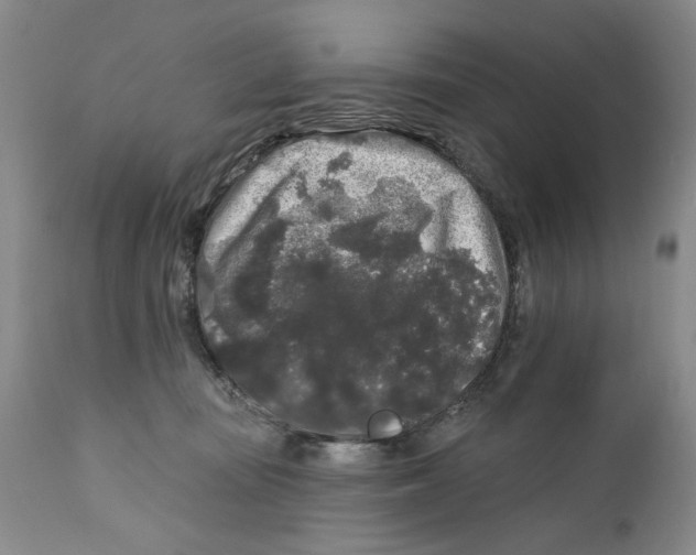 X0000112360371200909101303