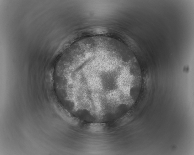 X0000112360373200909101303
