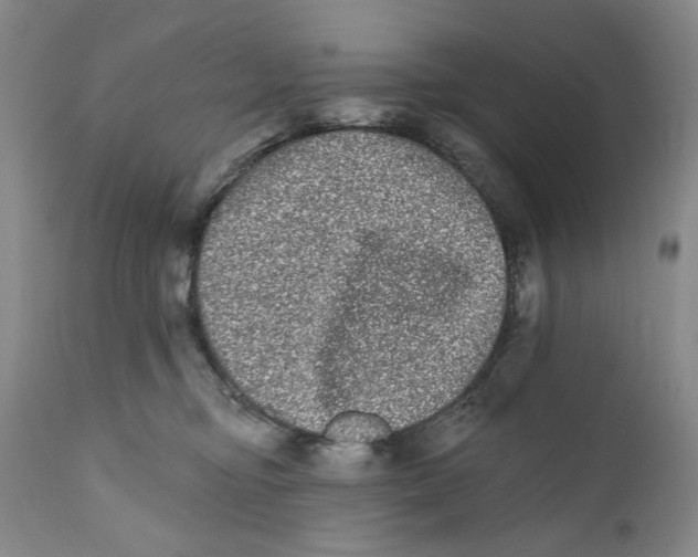 X0000112360374200909101303