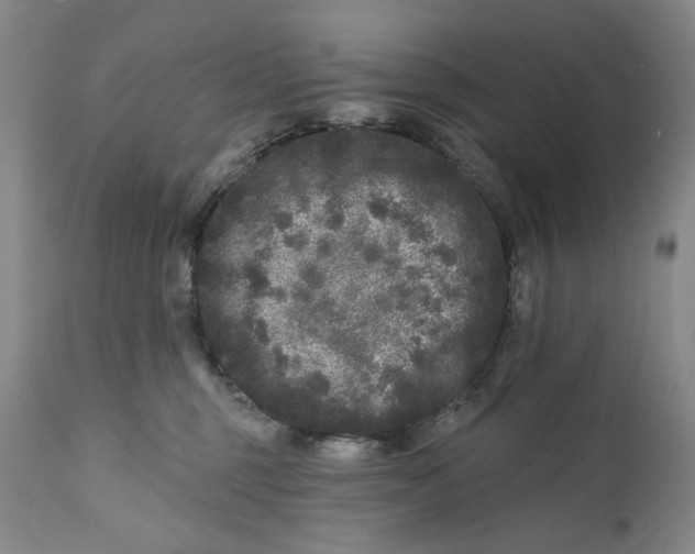 X0000112360375200909101303