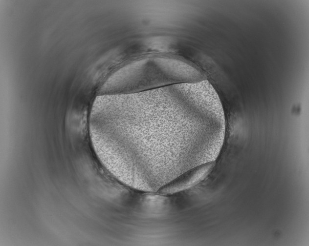 X0000112360376200909101303