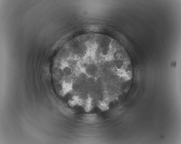 X0000112360377200909101303
