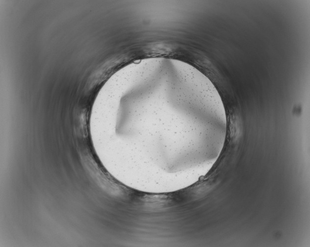 X0000112360378200909101303