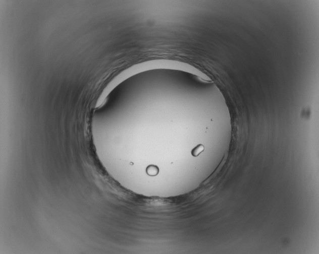 X0000112360380200909101303