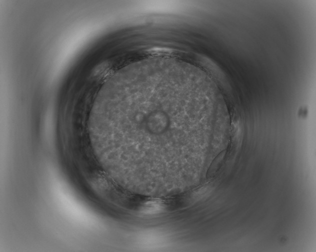 X0000112360381200909101303