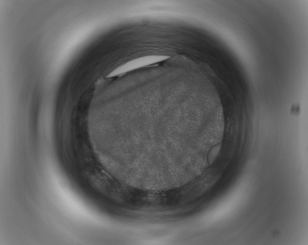 X0000112360383200909101303