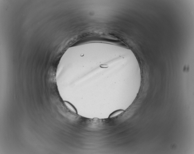 X0000112360384200909101303