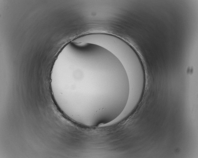 X0000112360385200909101302