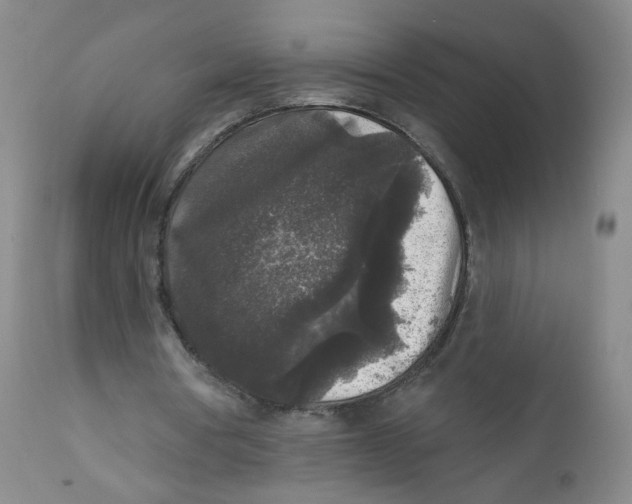 X0000112360386200909101302