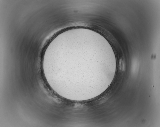 X0000112360388200909101302