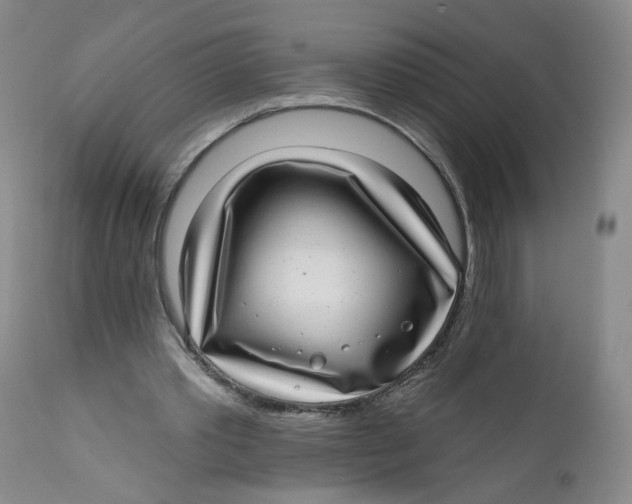 X0000112360389200909101302