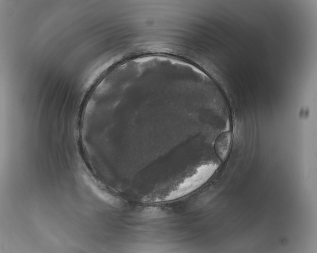X0000112360390200909101302