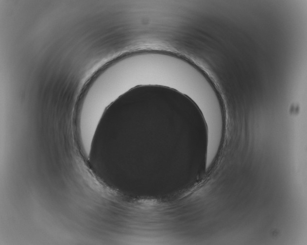 X0000112360391200909101302