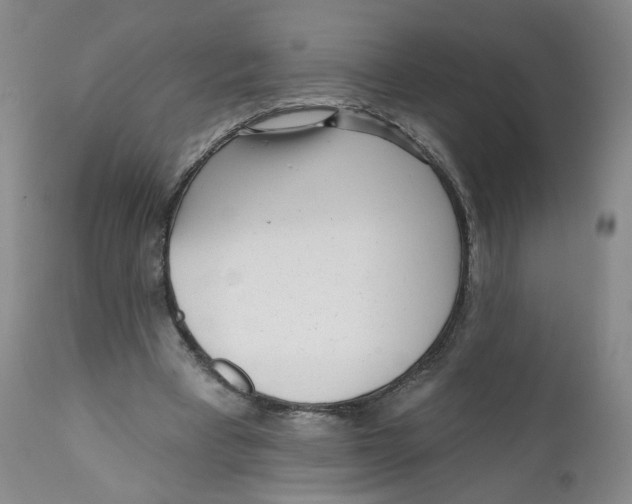 X0000112360393200909101302