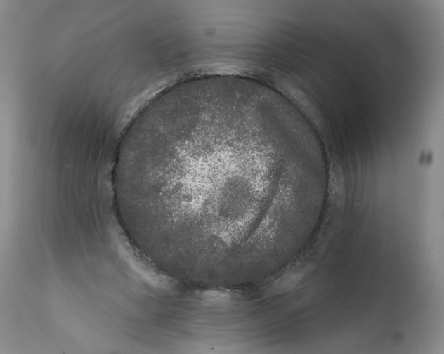 X0000112360394200909101302
