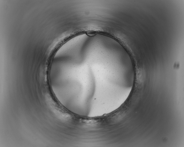 X0000112360395200909101302