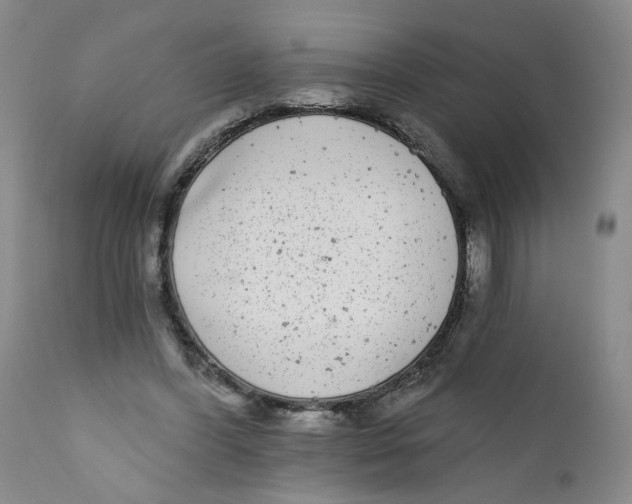 X0000112360396200909101302
