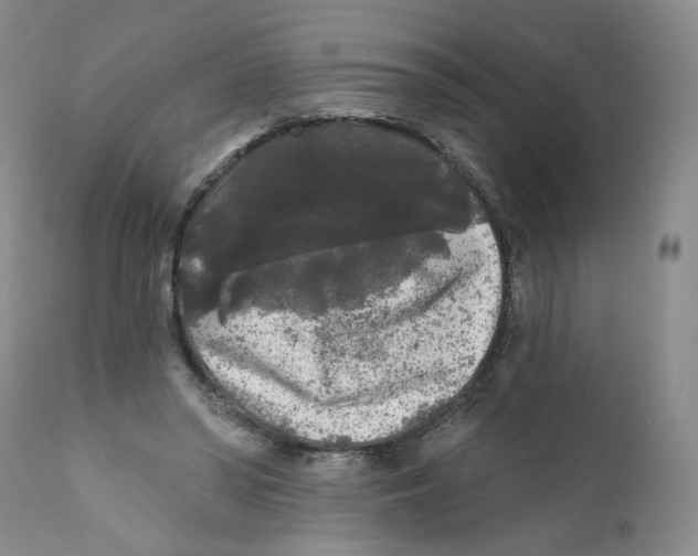 X0000112360398200909101302