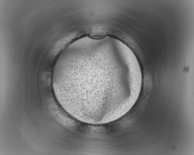 X0000112360401200909101302