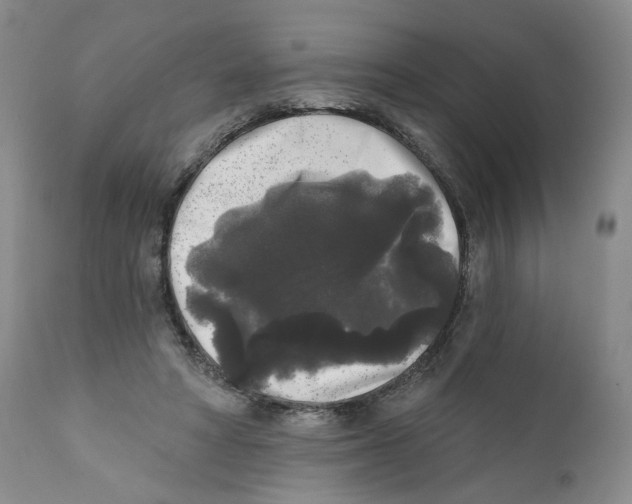 X0000112360402200909101302