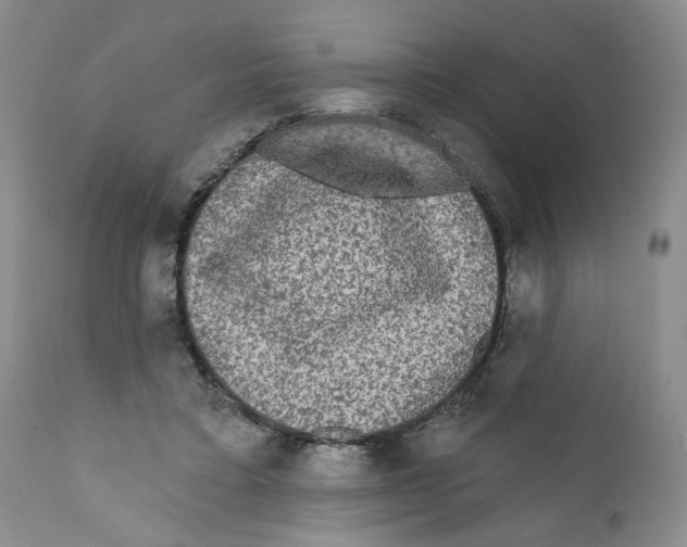 X0000112360403200909101302