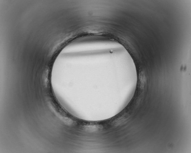 X0000112360404200909101302