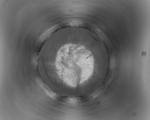 X0000112360405200909101302