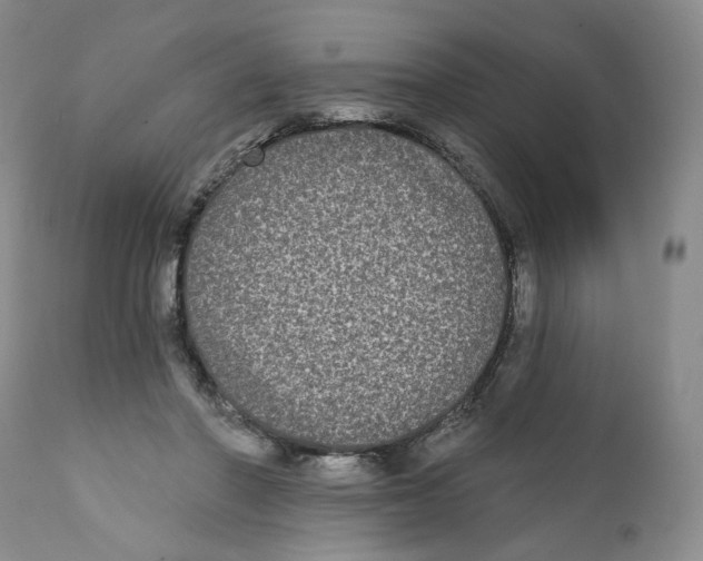 X0000112360406200909101302