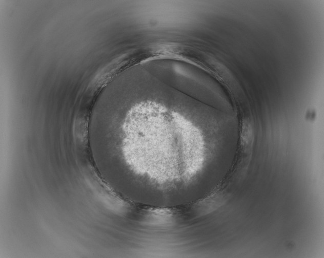 X0000112360409200909101302