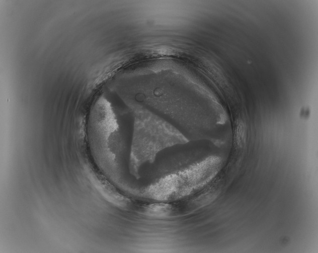 X0000112360410200909101302