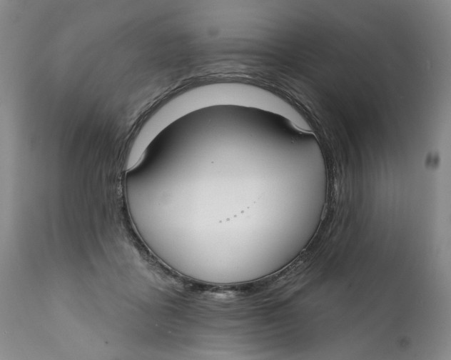 X0000112360411200909101302