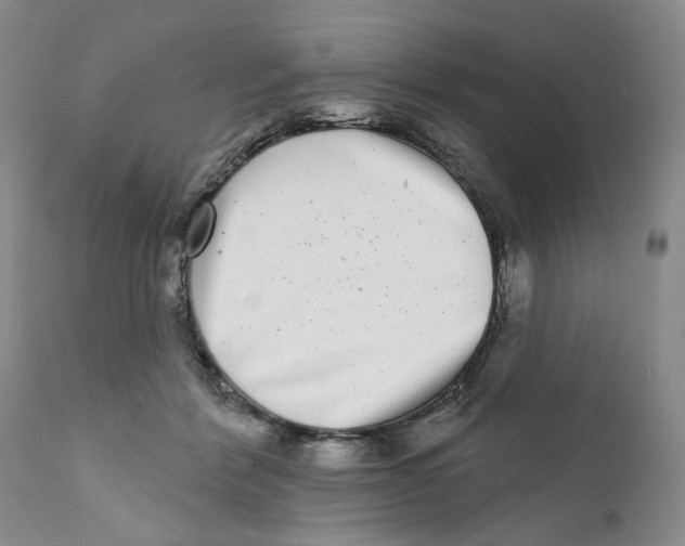 X0000112360412200909101302