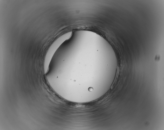 X0000112360413200909101302