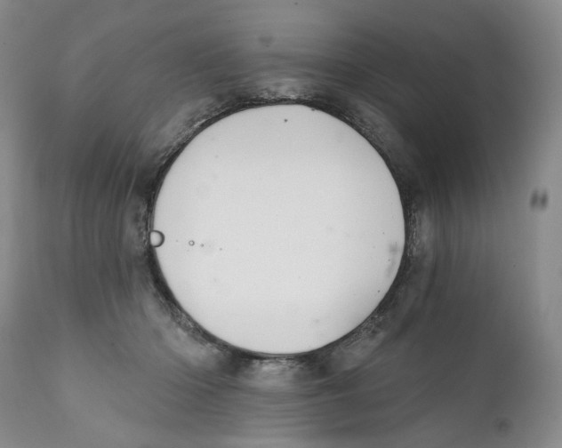 X0000112360414200909101302