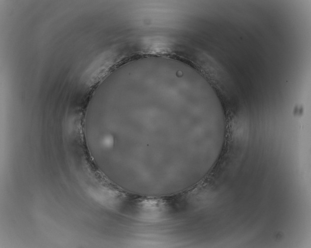 X0000112360415200909101302