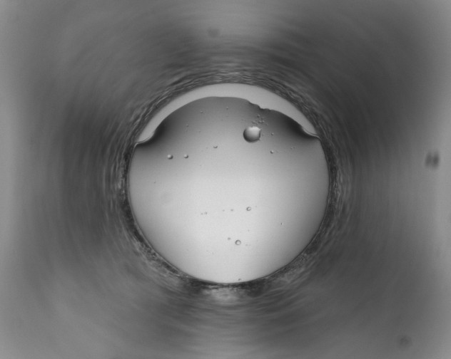 X0000112360417200909101302