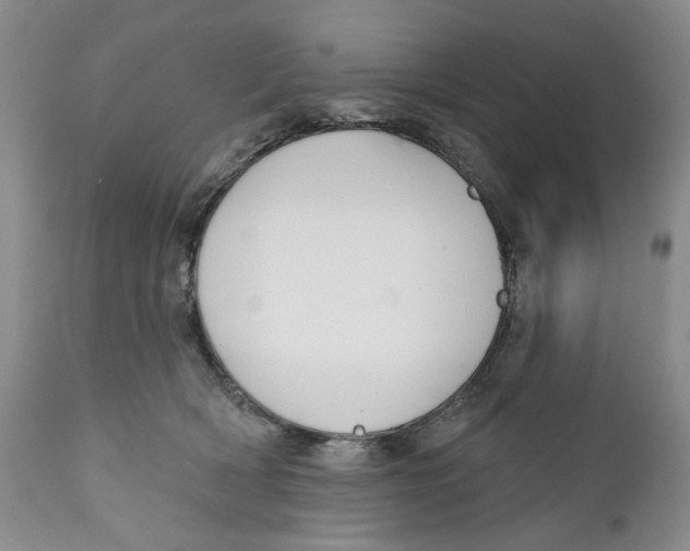 X0000112360418200909101301