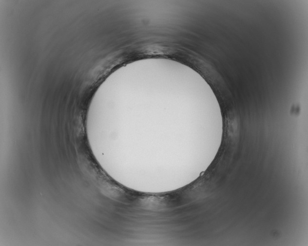 X0000112360422200909101301