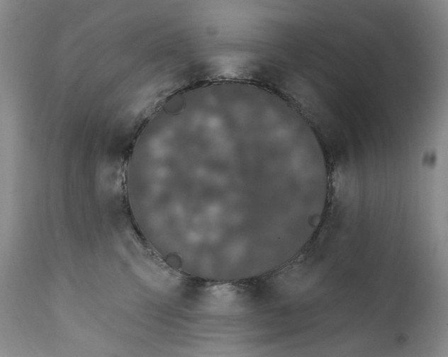 X0000112360423200909101301