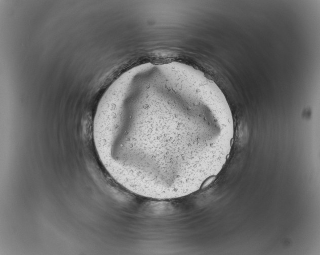 X0000112360424200909101301