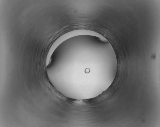 X0000112360425200909101301