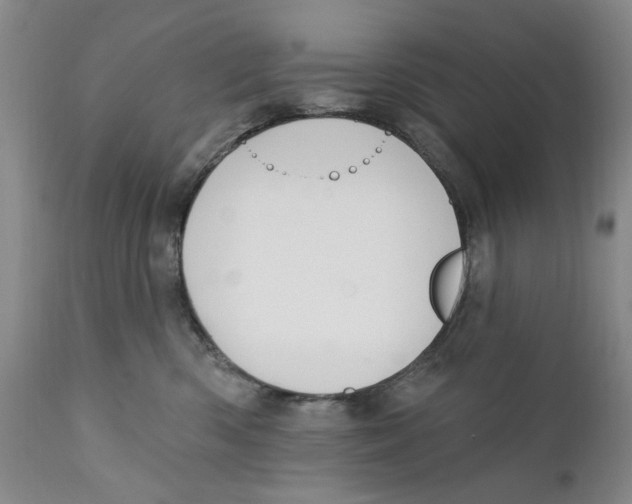 X0000112360426200909101301