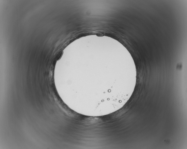 X0000112360427200909101301