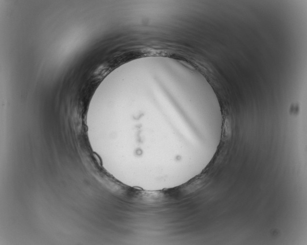 X0000112360429200909101301