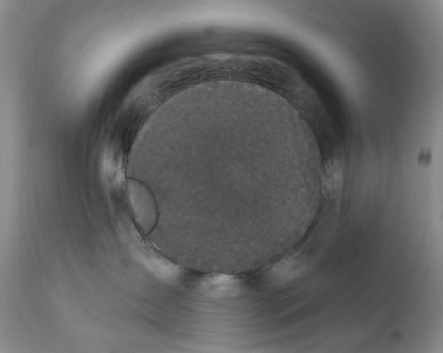 X0000112360431200909101301