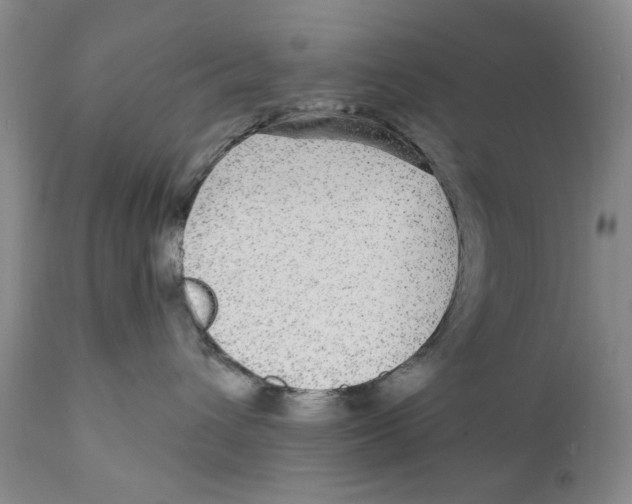 X0000112360432200909101301