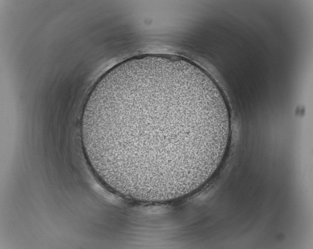 X0000112360433200909101301